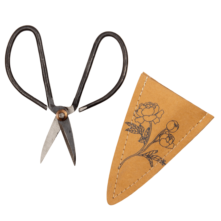 Edward Clippers Ikebana Pruning Scissors - Chive Ceramics Studio - Tools & Accessories - Chive Ceramics Studio