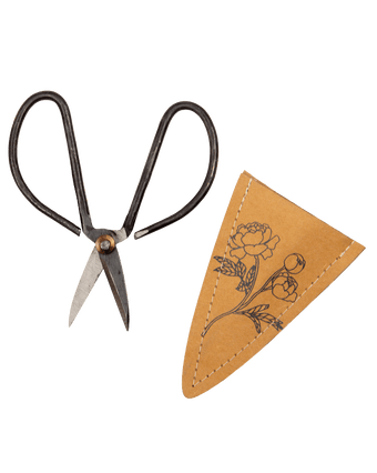 Edward Clippers Ikebana Pruning Scissors - Chive Ceramics Studio - Tools & Accessories - Chive Ceramics Studio