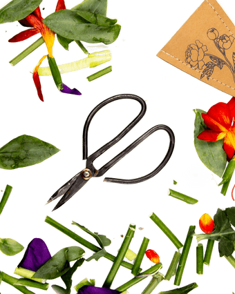 Edward Clippers Ikebana Pruning Scissors - Chive Ceramics Studio - Tools & Accessories - Chive Ceramics Studio
