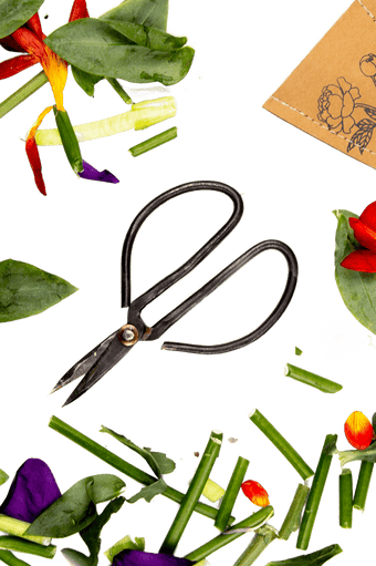 Edward Clippers Ikebana Pruning Scissors - Chive Ceramics Studio - Tools & Accessories - Chive Ceramics Studio