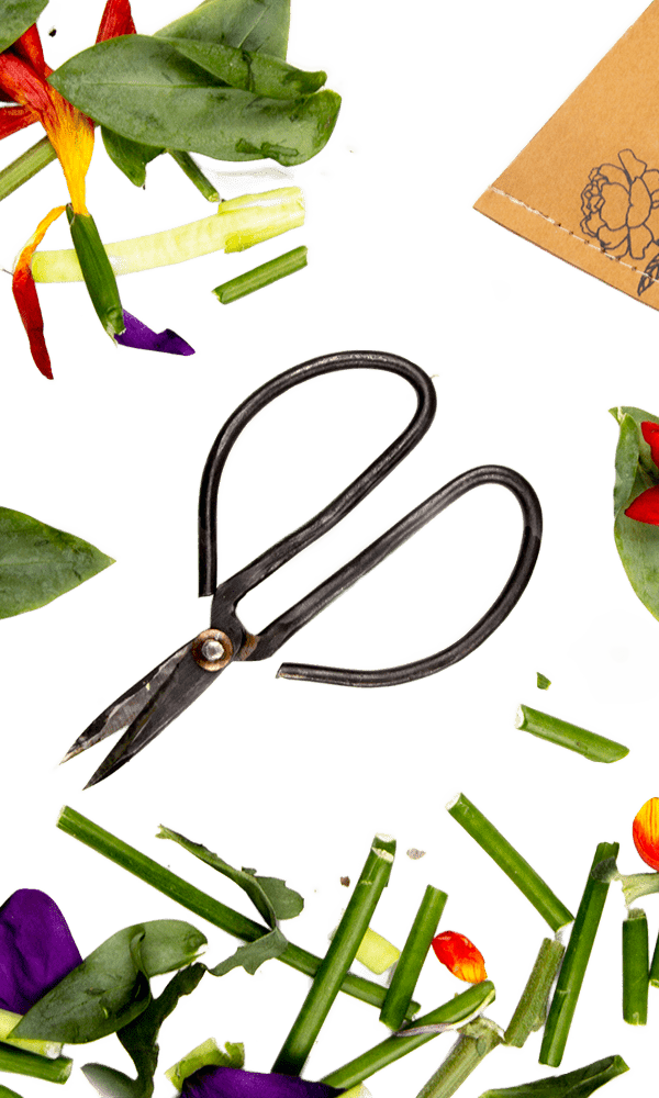 Edward Clippers Ikebana Pruning Scissors - Chive Ceramics Studio - Tools & Accessories - Chive Ceramics Studio