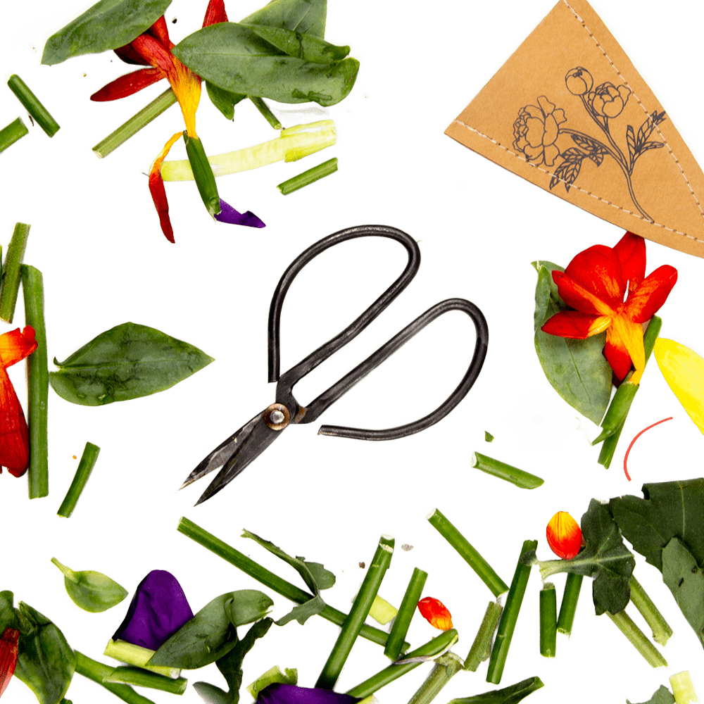 Edward Clippers Ikebana Pruning Scissors - Chive Ceramics Studio - Tools & Accessories - Chive Ceramics Studio