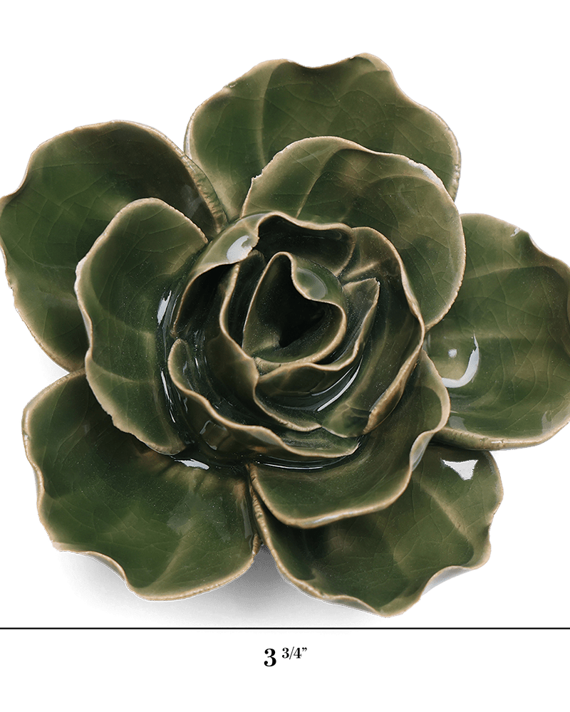 EG03 Fir Green Butterfly Ranunculus - Chive US Wholesale