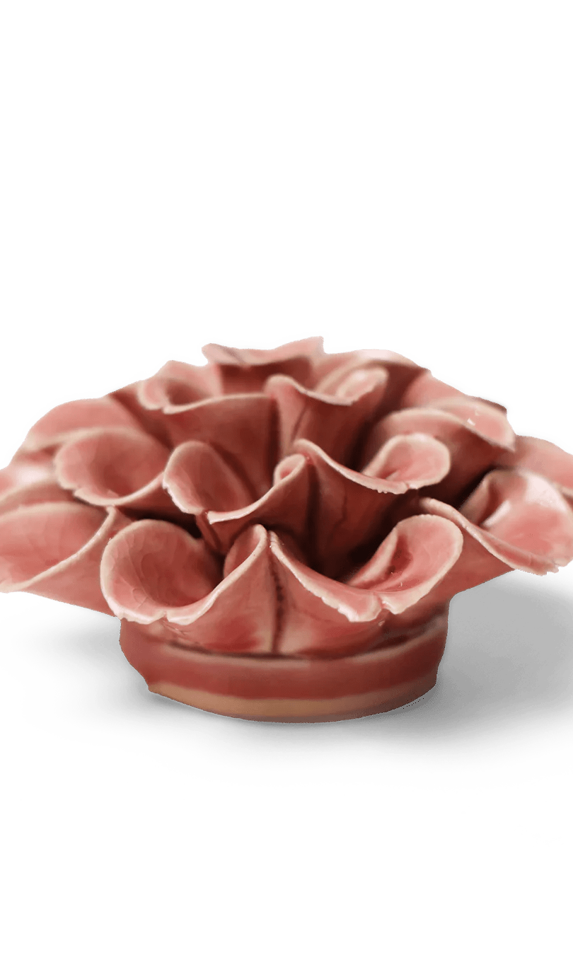 Champagne pink Hydrangea ceramic wall flower — English Garden Collection — handmade by Chive Studio Toronto
