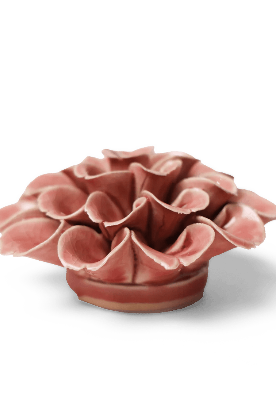 Champagne Pink Hydrangea ceramic wall flower — English Garden collection — designed in Toronto by Chive Studio