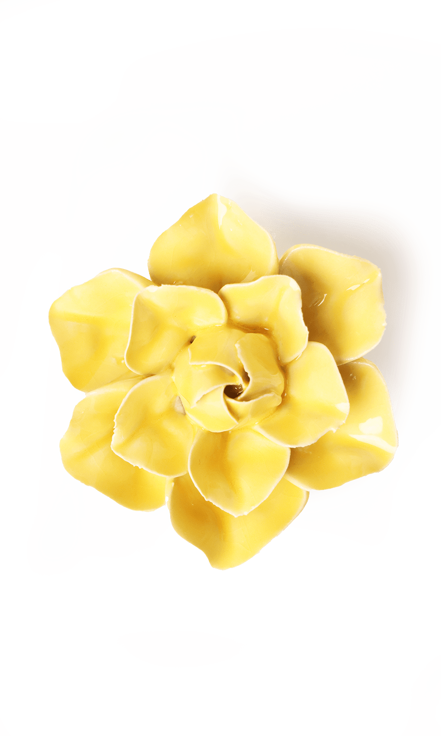 March birth flower daffodil ceramic wall flower — birth flower collection — handmade by Chive Studio Toronto