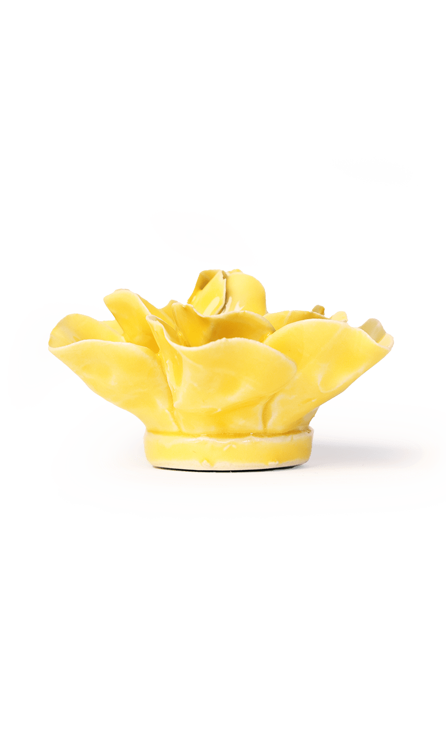 March birth flower daffodil ceramic wall flower — birth flower collection — handmade by Chive Studio Toronto