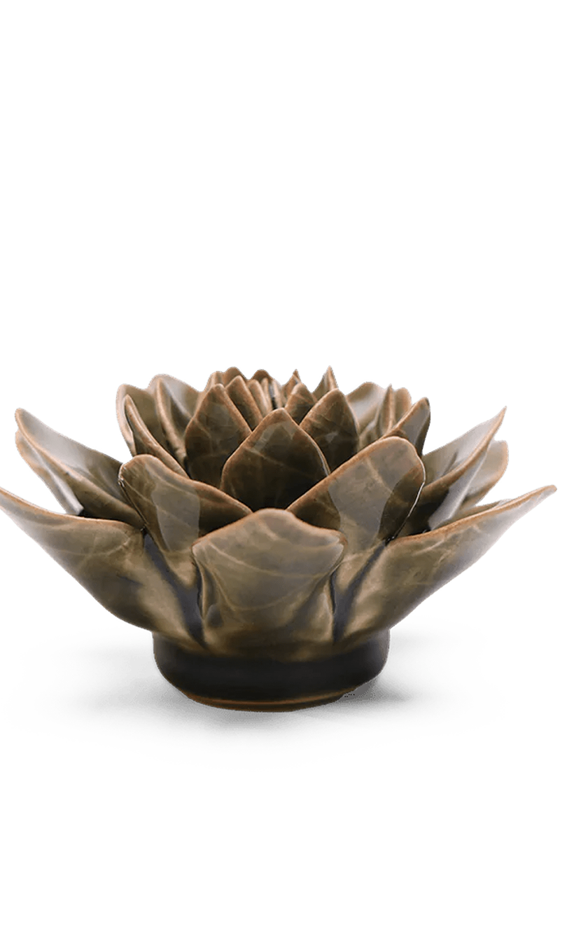 Olive Green Echeveria ceramic wall flower — English Garden collection — designed in Toronto by Chive Studio
