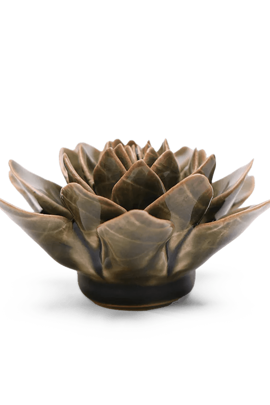 Olive Green Echeveria ceramic wall flower - English Garden collection - handmade by Chive Studio Toronto