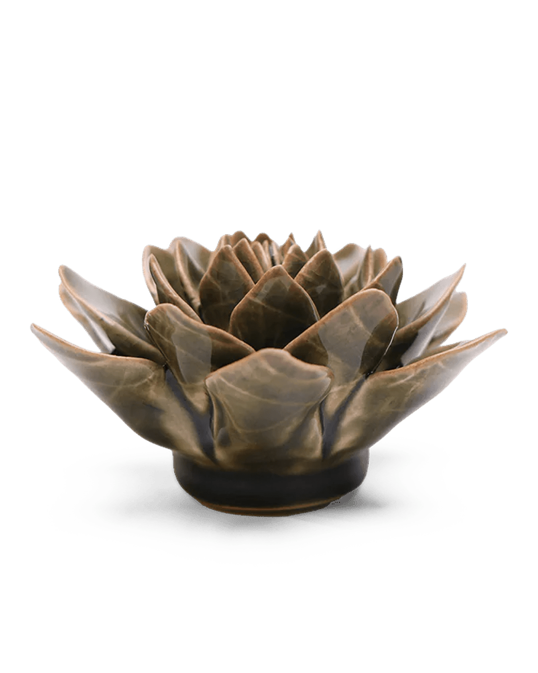 Olive Green Echeveria ceramic wall flower — English Garden collection — designed in Toronto by Chive Studio