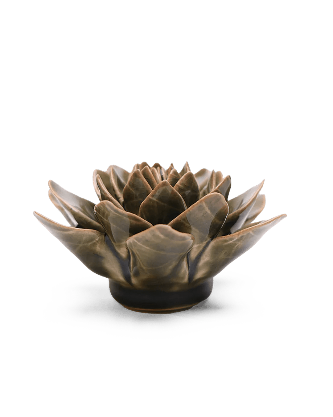 Olive Green Echeveria ceramic wall flower — English Garden collection — designed in Toronto by Chive Studio
