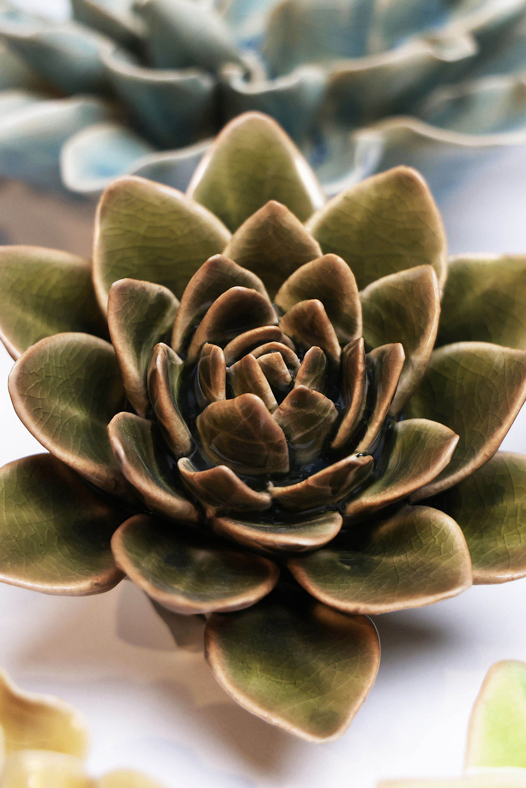Olive Green Echeveria ceramic wall flower - English Garden collection - handmade by Chive Studio Toronto
