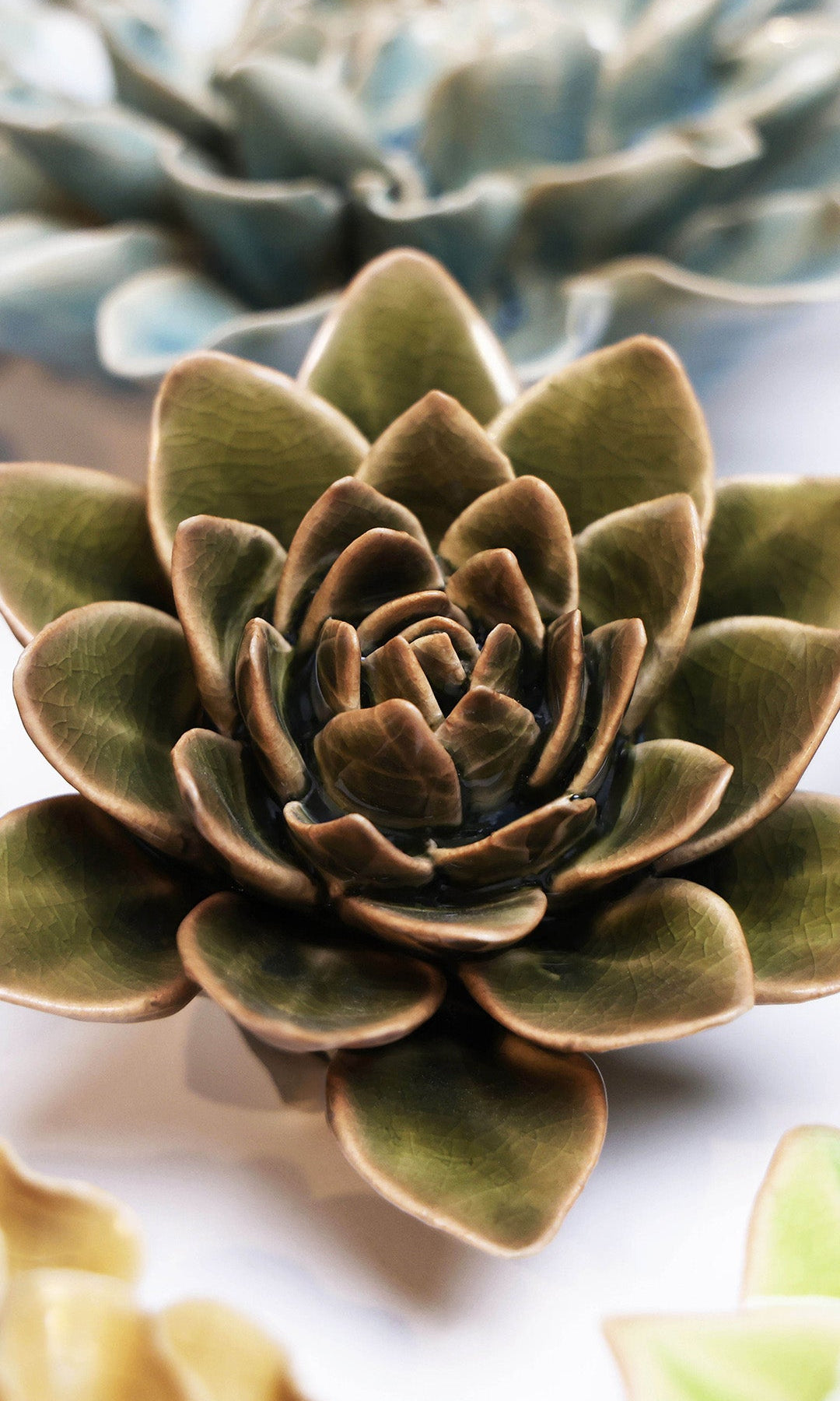 Olive Green Echeveria ceramic wall flower styled on wall — English Garden — Chive Studio Toronto