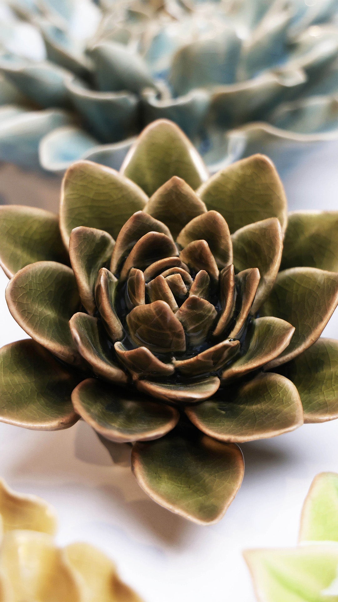 Olive Green Echeveria ceramic wall flower styled on wall — English Garden — Chive Studio Toronto