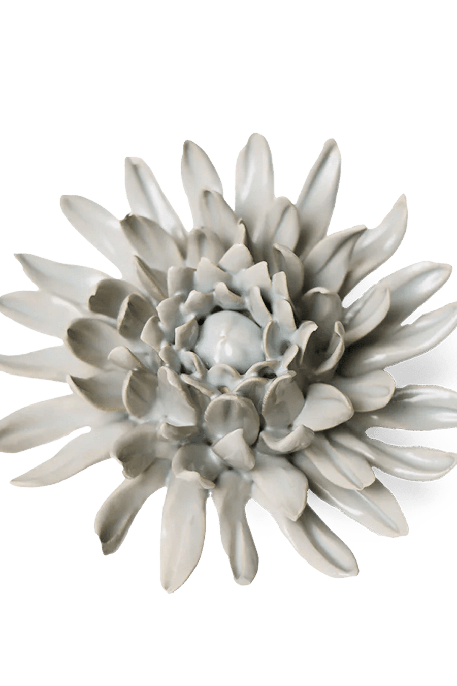 Green Spider Mum ceramic wall flower - English Garden collection - handmade by Chive Studio Toronto