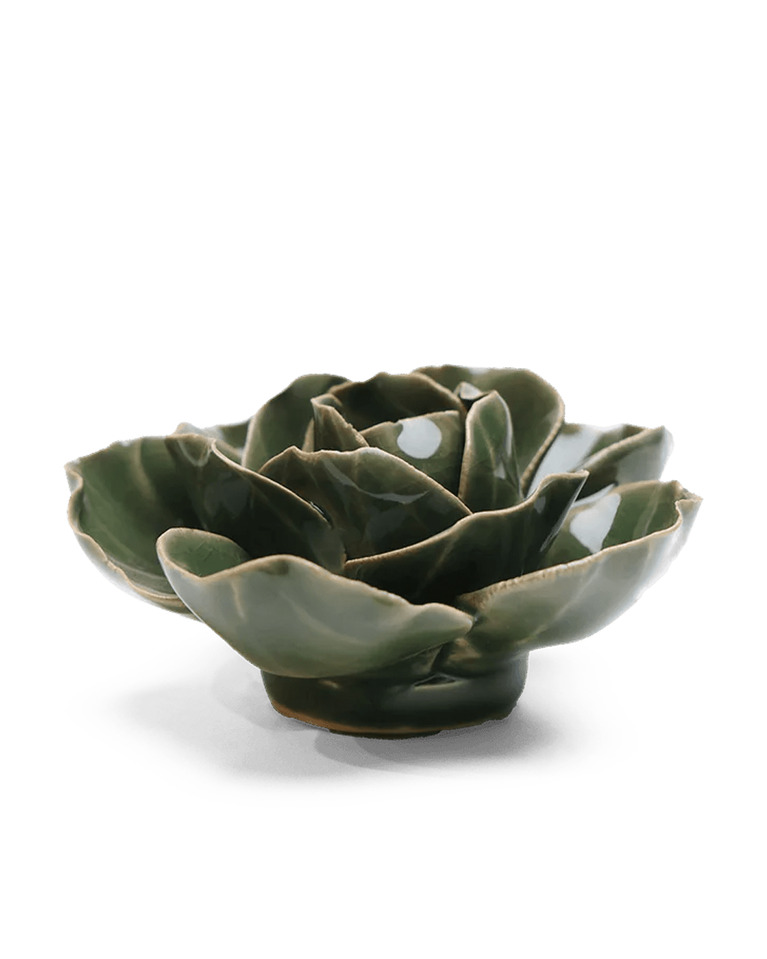 Fir Green Butterfly Ranunculus ceramic wall flower — English Garden collection — designed in Toronto by Chive Studio