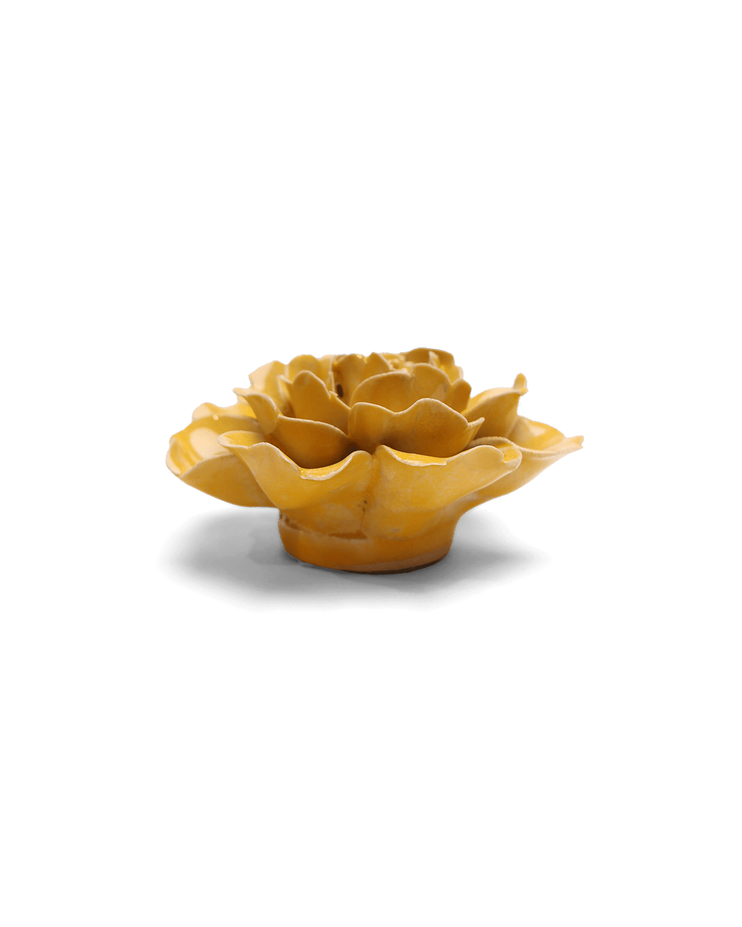 Burnt Yellow Rose ceramic wall flower — English Garden collection — designed in Toronto by Chive Studio