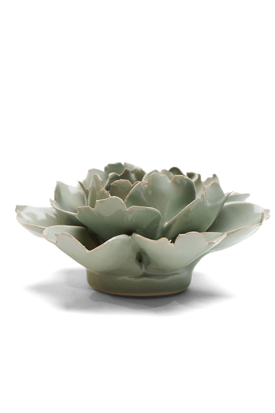 Pistachio Green Rose ceramic wall flower — English Garden collection — designed in Toronto by Chive Studio