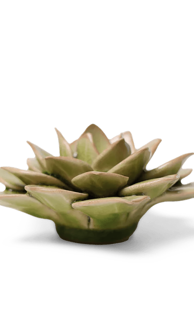 Peridot Echeveria ceramic wall flower — English Garden collection — by Chive Studio