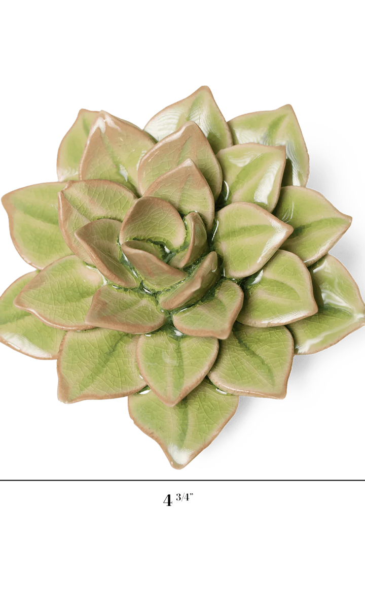 Peridot Echeveria ceramic wall flower — English Garden collection — by Chive Studio