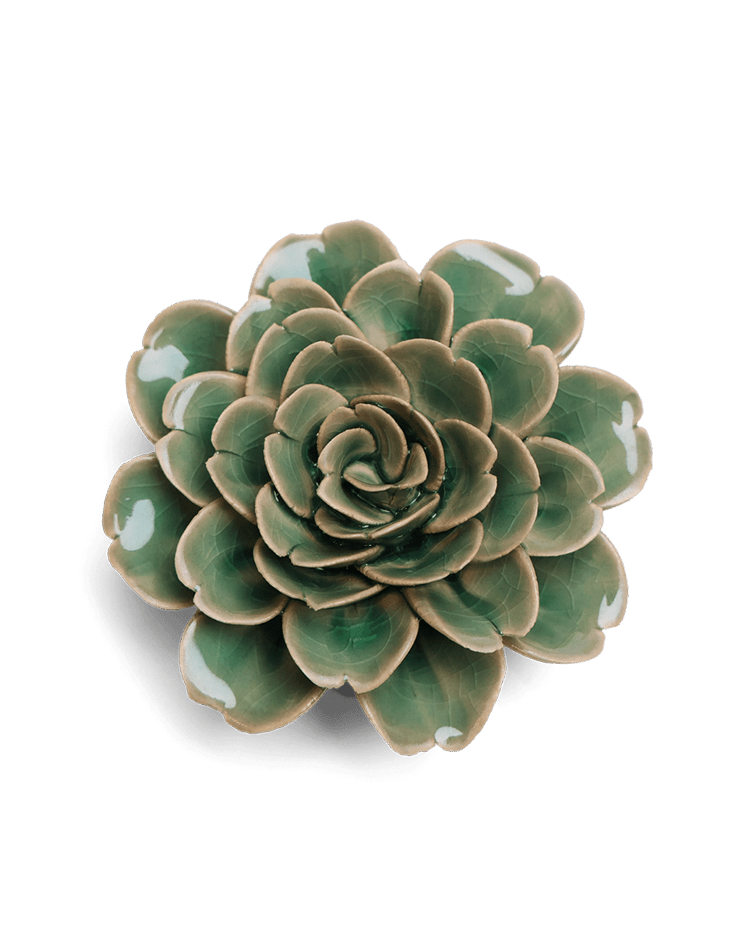 Jungle Green Rose ceramic wall flower — English Garden collection — designed in Toronto by Chive Studio