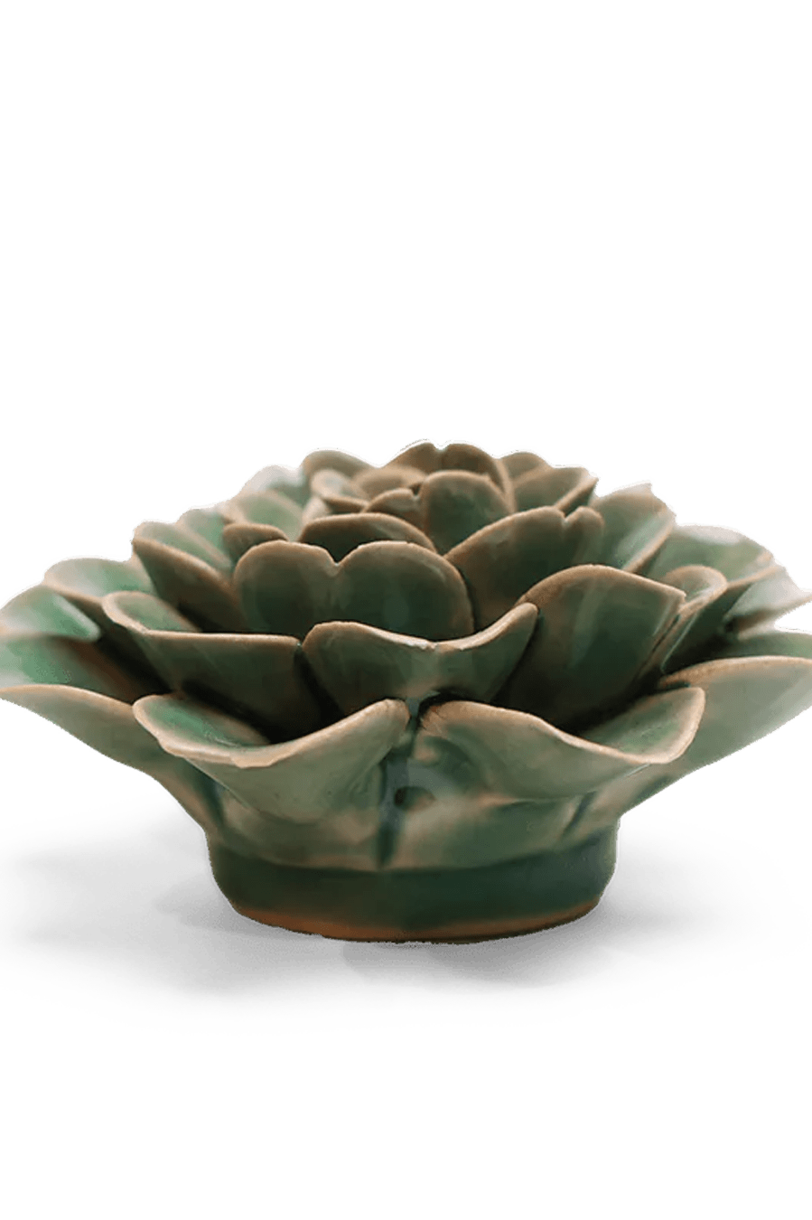 Jungle Green Rose ceramic wall flower — English Garden collection — designed in Toronto by Chive Studio
