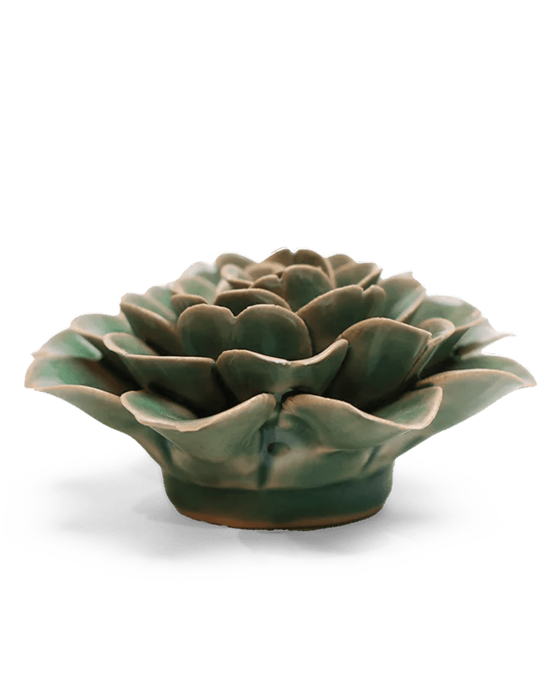 Jungle Green Rose ceramic wall flower — English Garden collection — designed in Toronto by Chive Studio