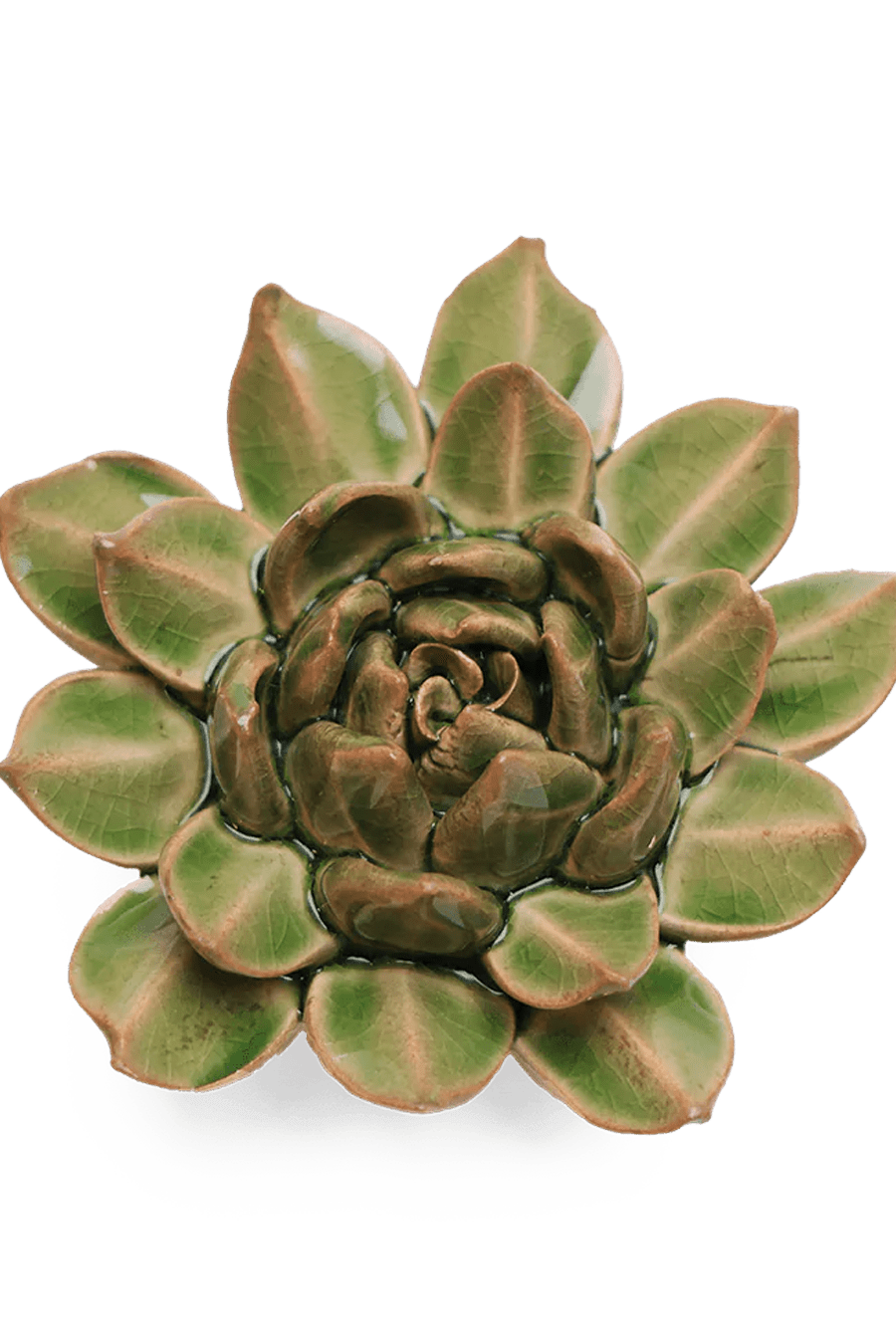 Avocado Green Firecracker Succulent ceramic wall flower - English Garden collection - handmade by Chive Studio Toronto