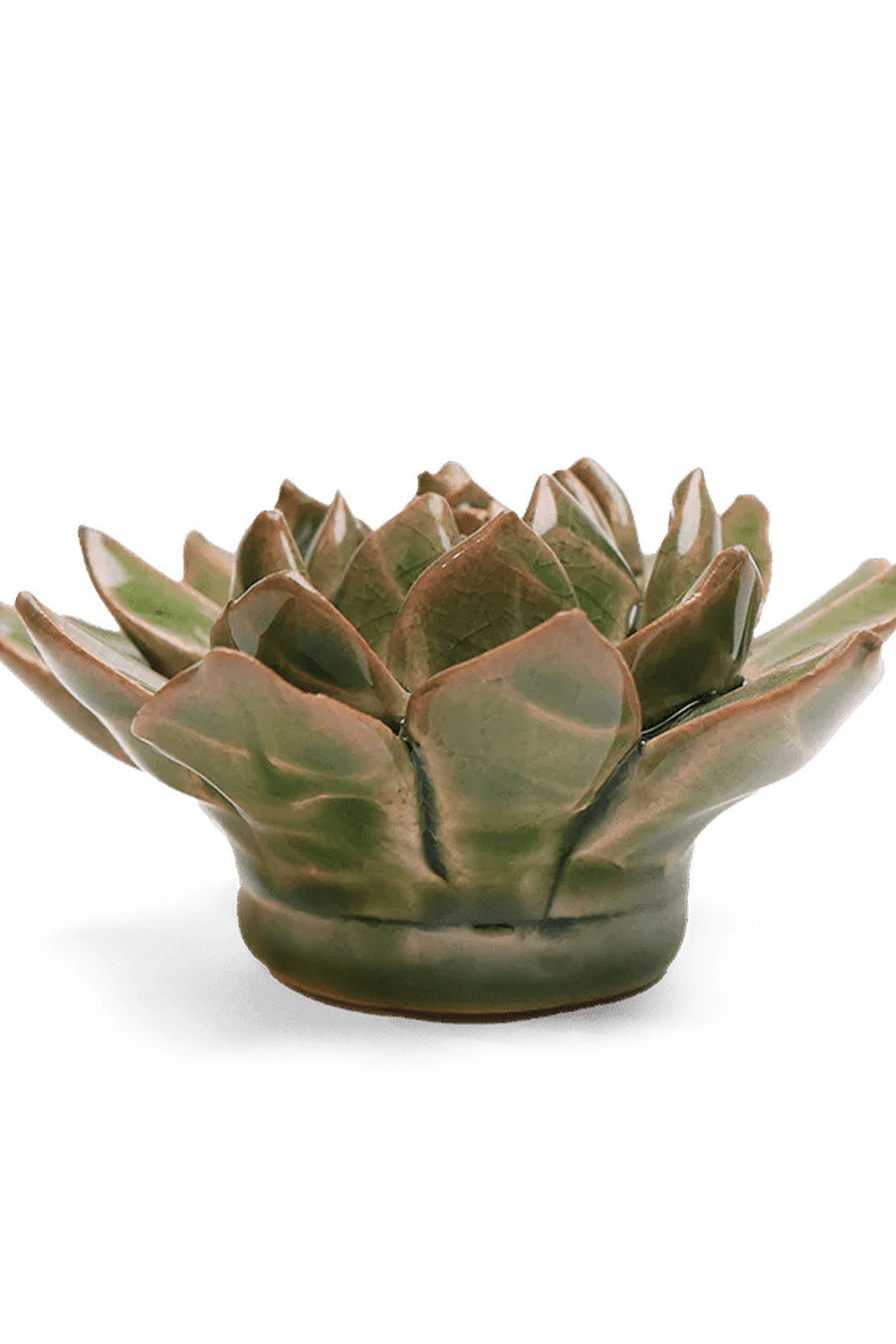 Avocado Green Firecracker Succulent ceramic wall flower - English Garden collection - handmade by Chive Studio Toronto