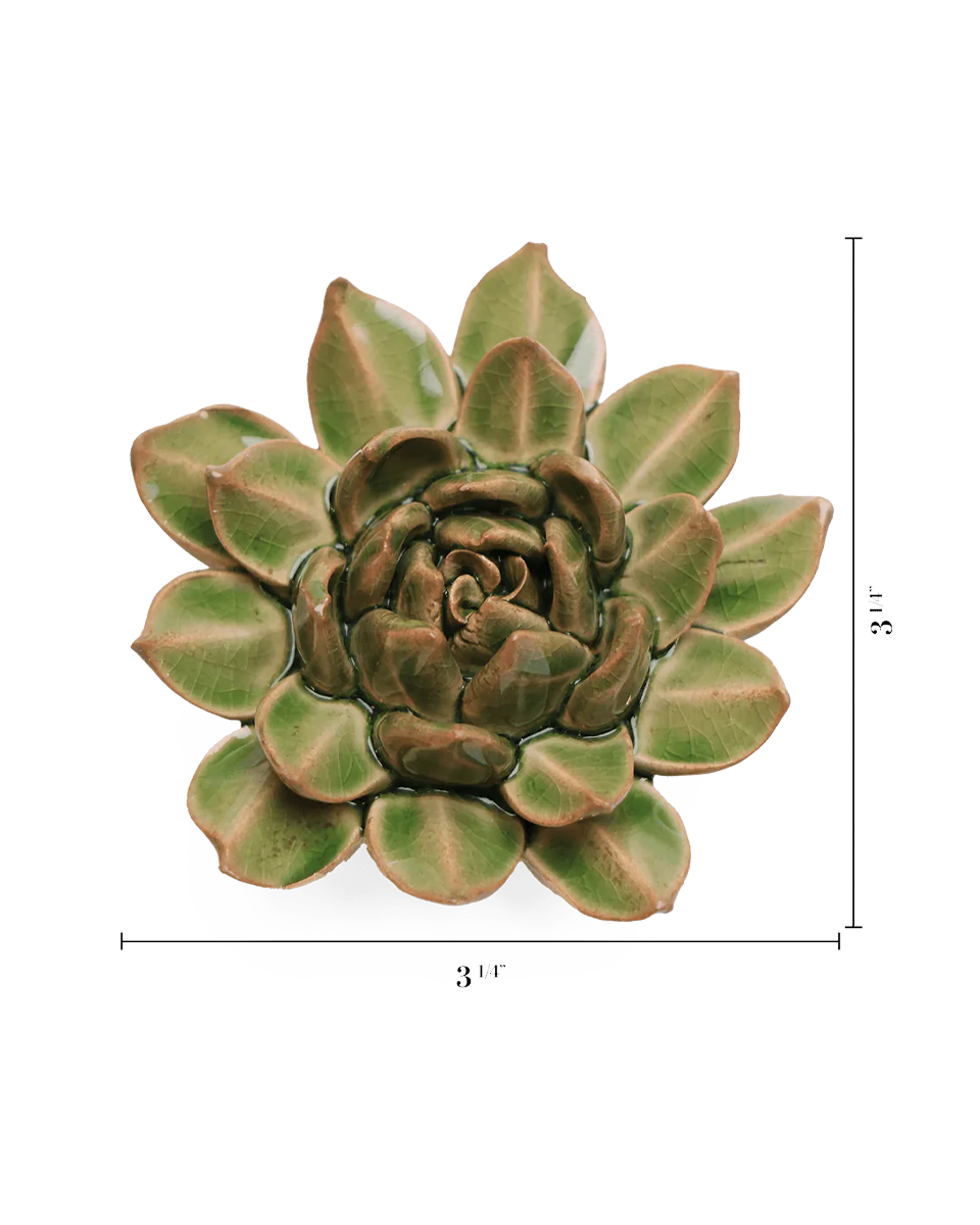 Avocado Green Firecracker Succulent ceramic wall flower — English Garden collection — designed in Toronto by Chive Studio