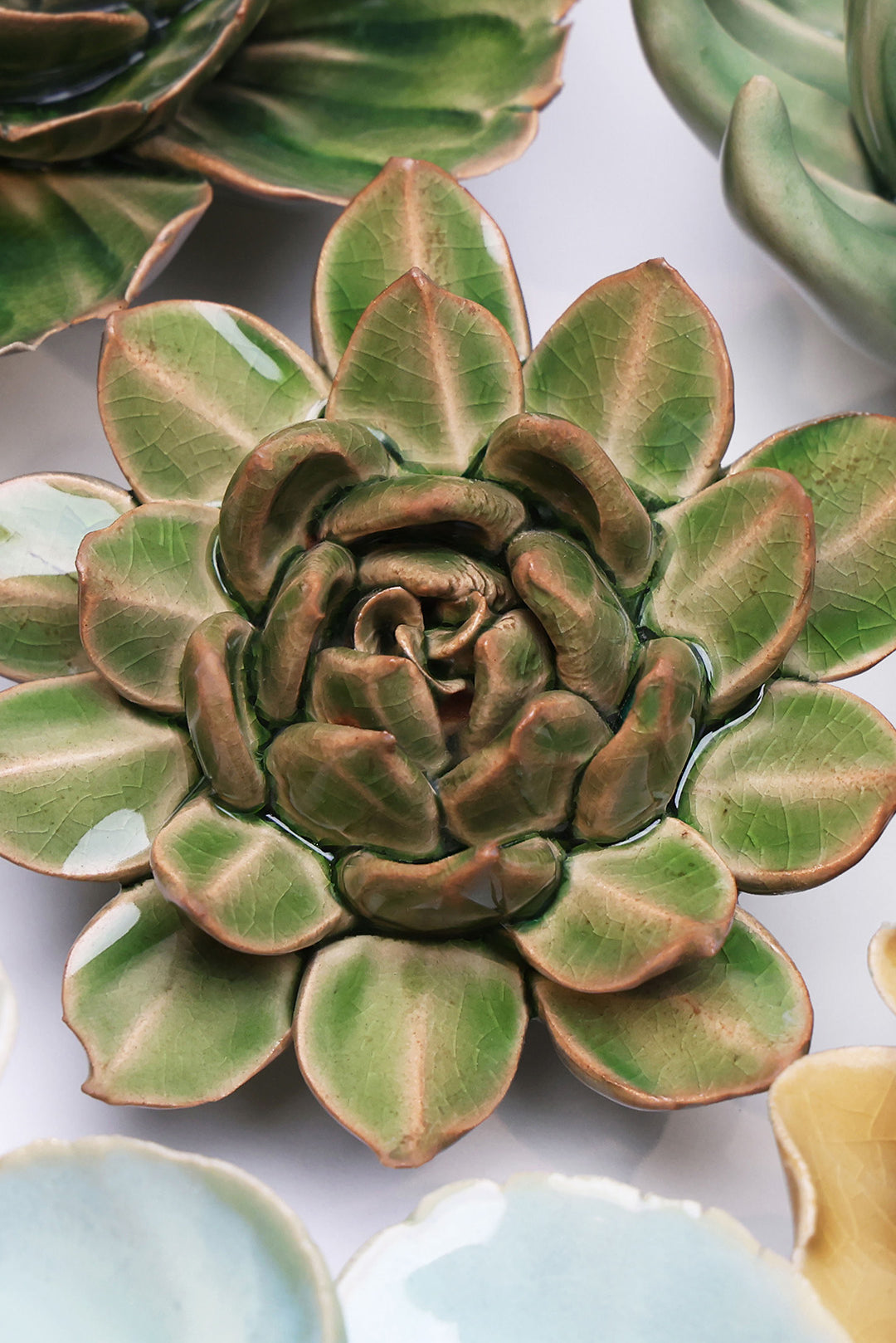 Avocado Green Firecracker Succulent ceramic wall flower - English Garden collection - handmade by Chive Studio Toronto