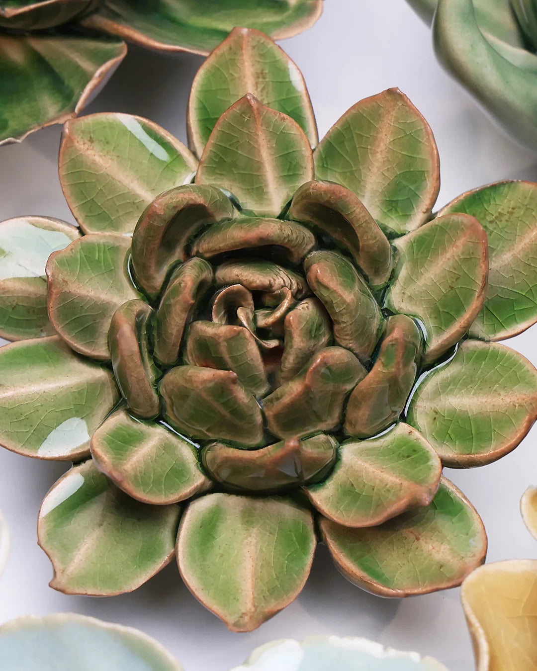 Avocado Green Firecracker Succulent ceramic wall flower styled on a white table with other flowers — Chive Studio