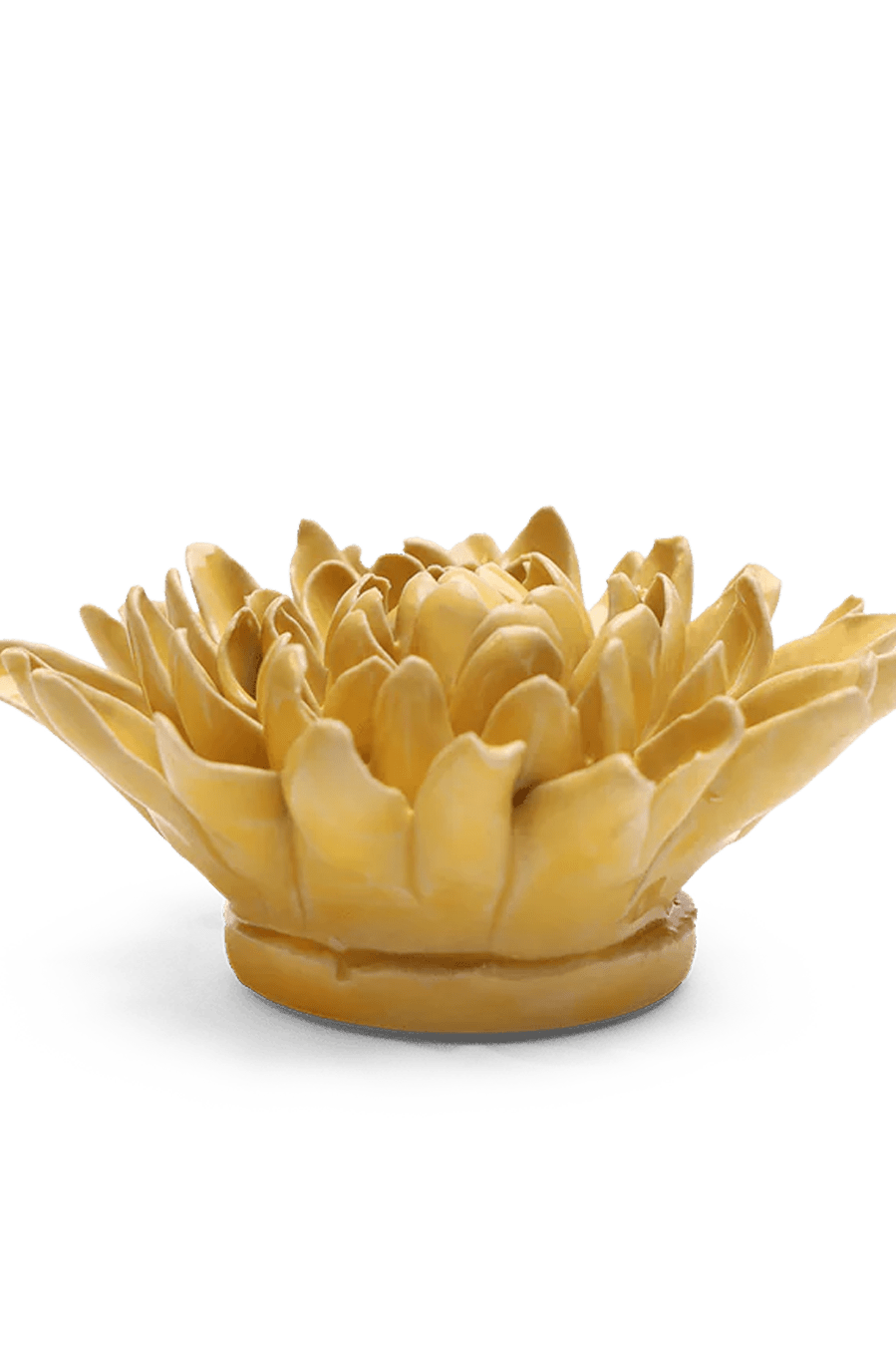 Buttercup Yellow Chrysanthemum ceramic wall flower — English Garden collection — designed in Toronto by Chive Studio