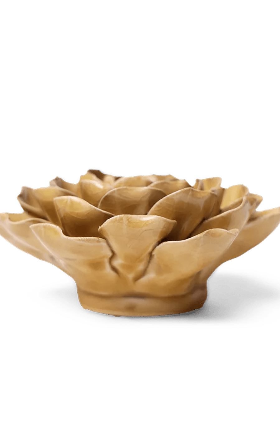 Caramel Charm Peony ceramic wall flower — English Garden collection — designed in Toronto by Chive Studio