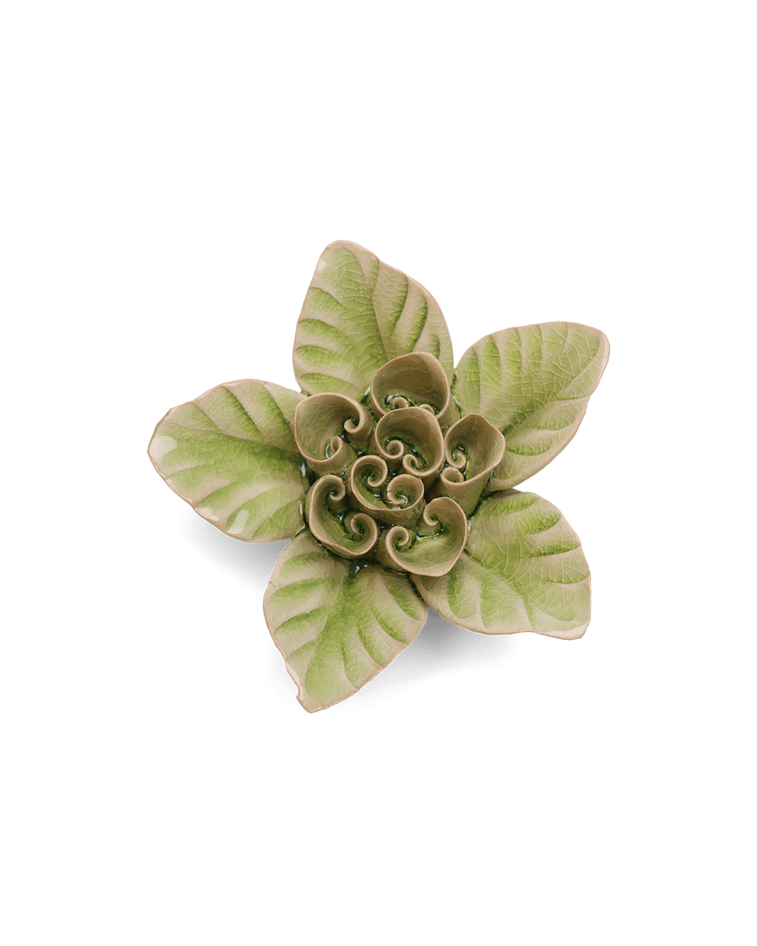 Peridot Lotus ceramic wall flower — English Garden collection — designed in Toronto by Chive Studio