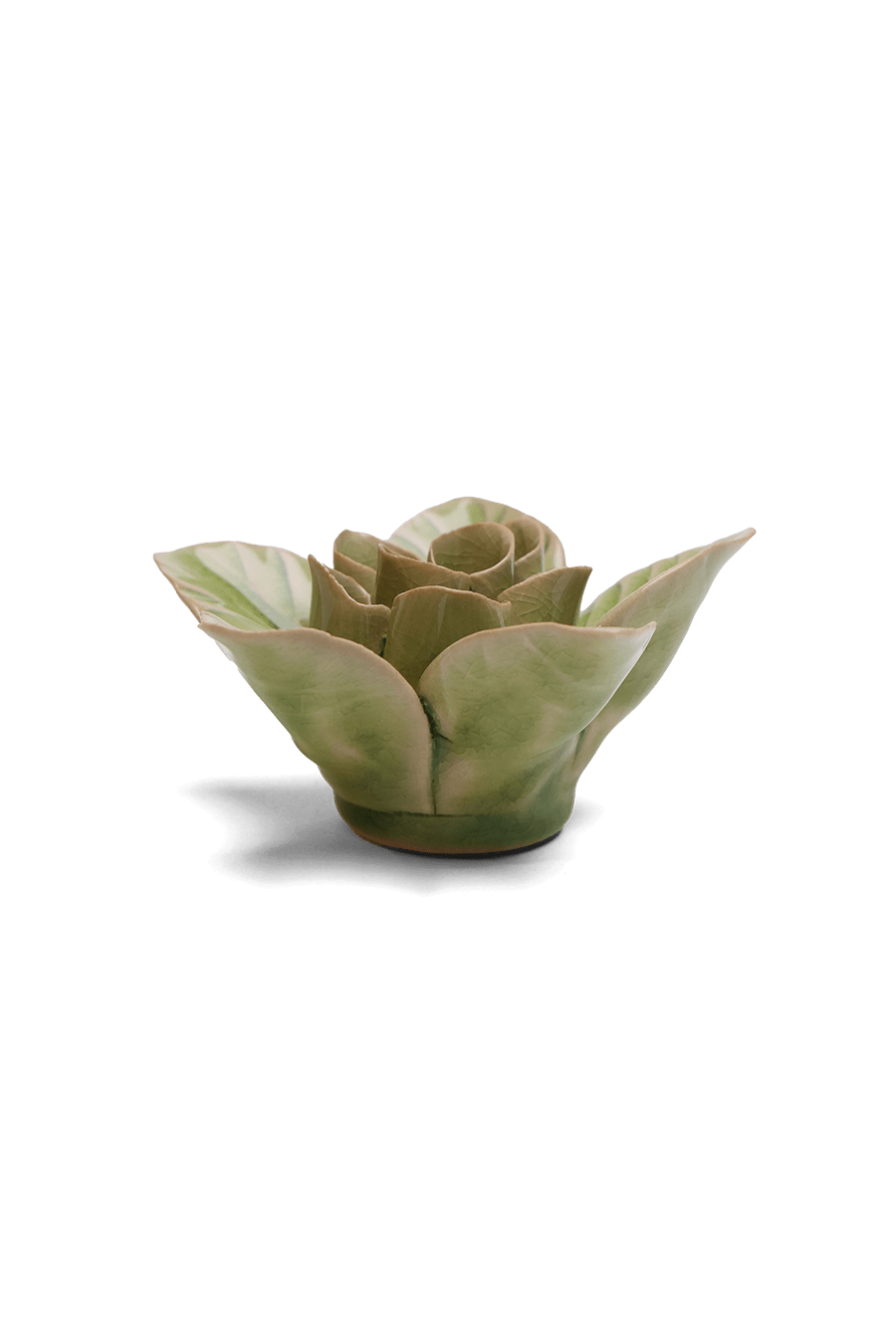 Peridot Lotus ceramic wall flower — English Garden collection — designed in Toronto by Chive Studio