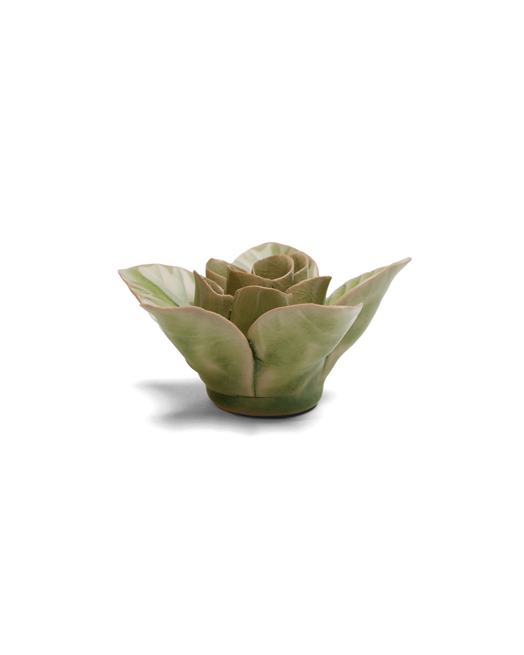 Peridot Lotus ceramic wall flower — English Garden collection — designed in Toronto by Chive Studio