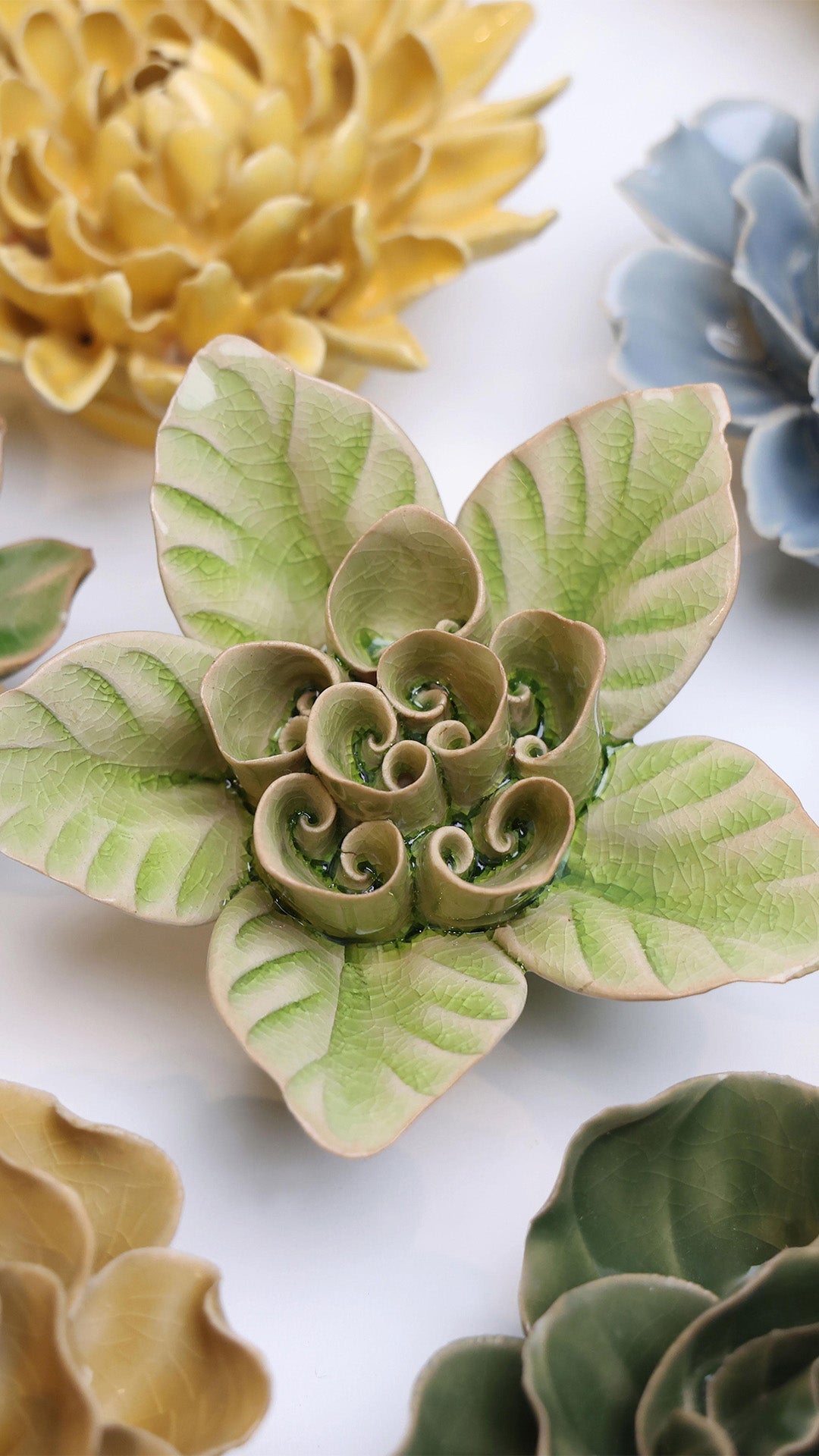 Peridot Green Maiden Lotus ceramic wall flower styled on wall — English Garden — Chive Studio Toronto