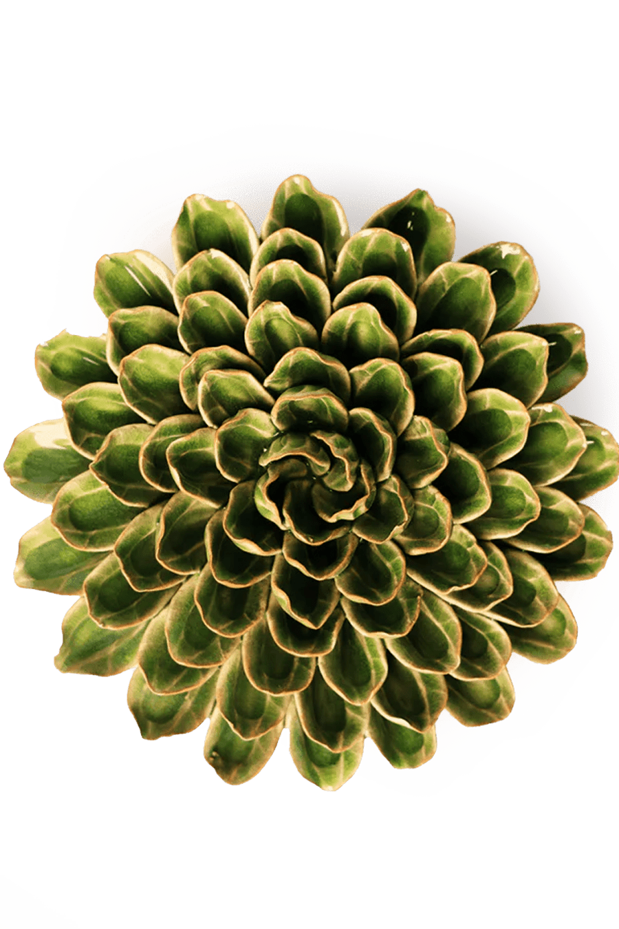 EG20 Avocado Green Unicorn Zinnia - Chive Ceramics Studio - Ceramic Flowers - Chive Ceramics Studio