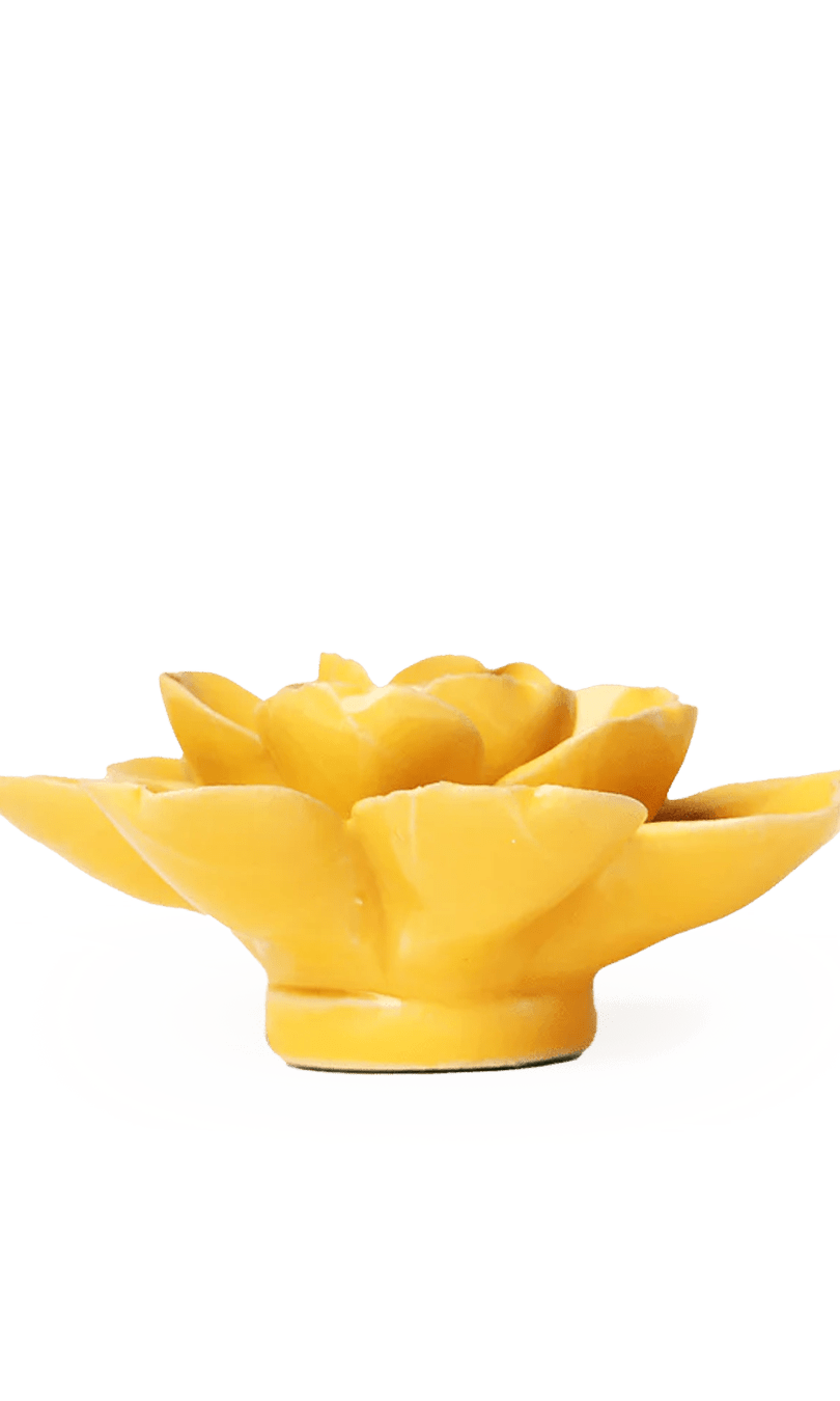 Burnt Yellow Gardenia ceramic wall flower — English Garden collection — designed in Toronto by Chive Studio