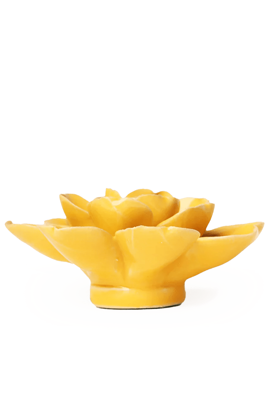 Burnt Yellow Gardenia ceramic wall flower — English Garden collection — designed in Toronto by Chive Studio
