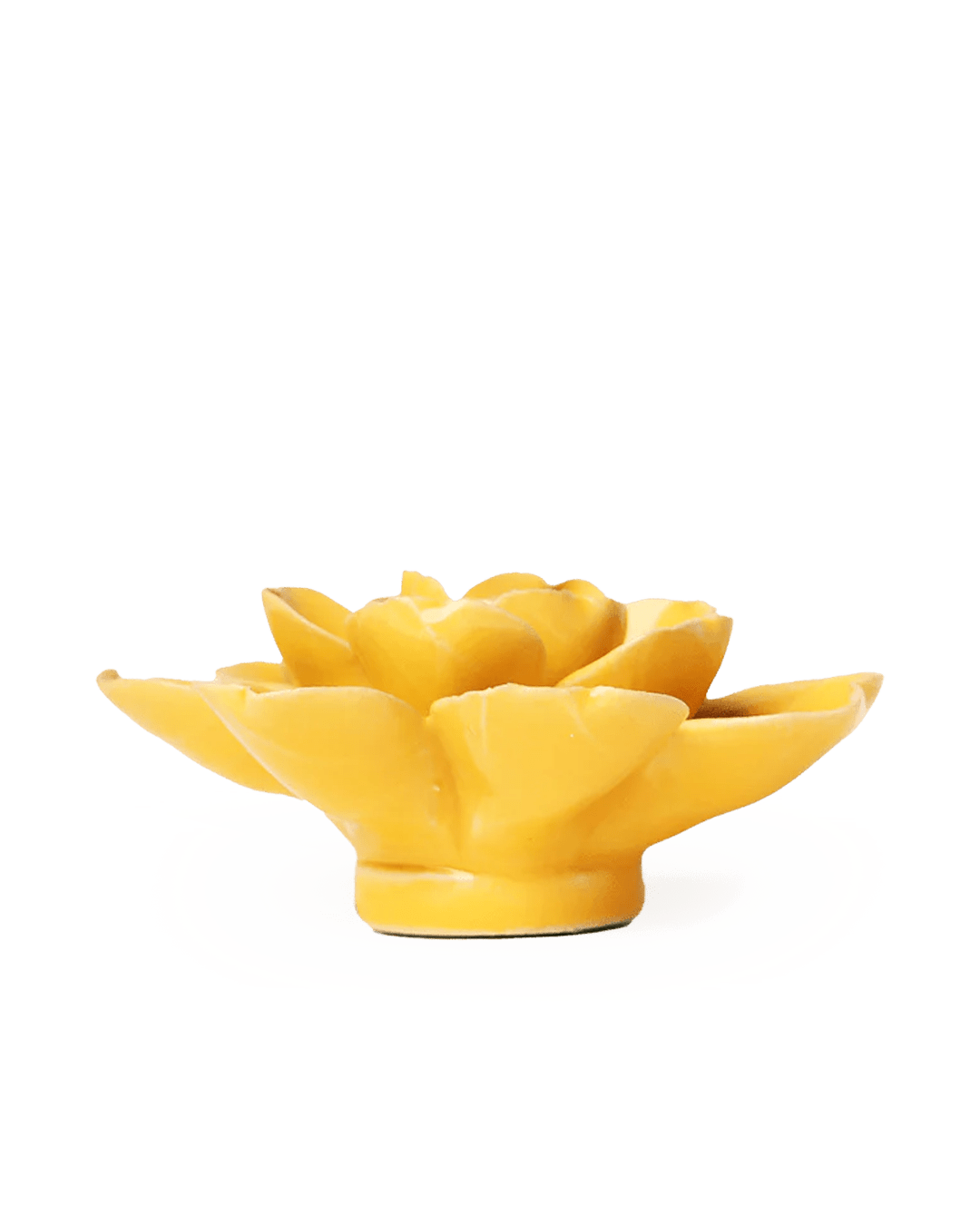 Burnt Yellow Gardenia ceramic wall flower — English Garden collection — designed in Toronto by Chive Studio