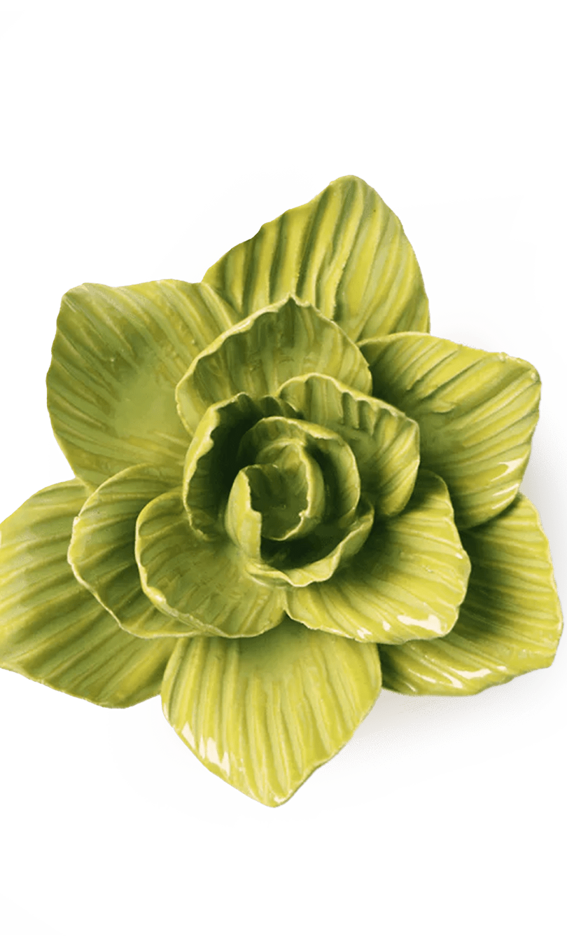 Chartreuse Chartreuse Gladiolus ceramic wall flower — English Garden collection — designed in Toronto by Chive Studio
