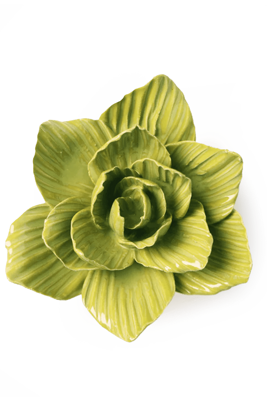 Chartreuse Gladiolus ceramic wall flower — English Garden Collection — handmade by Chive Studio Toronto