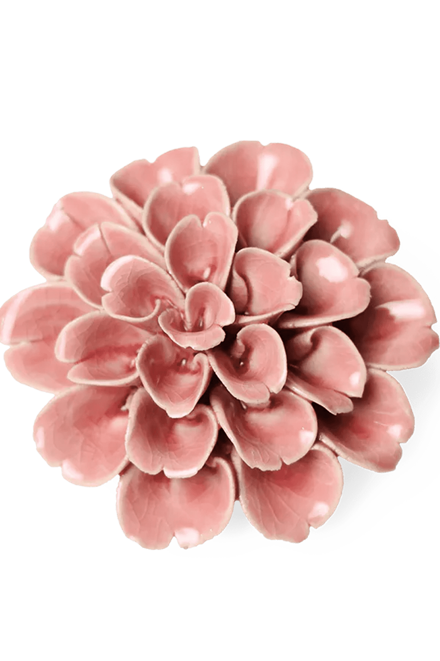 Champagne Pink Hydrangea ceramic wall flower — English Garden collection — designed in Toronto by Chive Studio