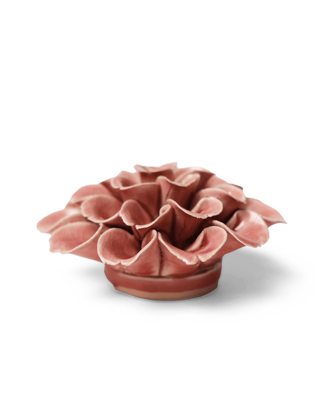 Champagne Pink Hydrangea - Chive Ceramics Studio - Ceramic Flowers - Chive Ceramics Studio