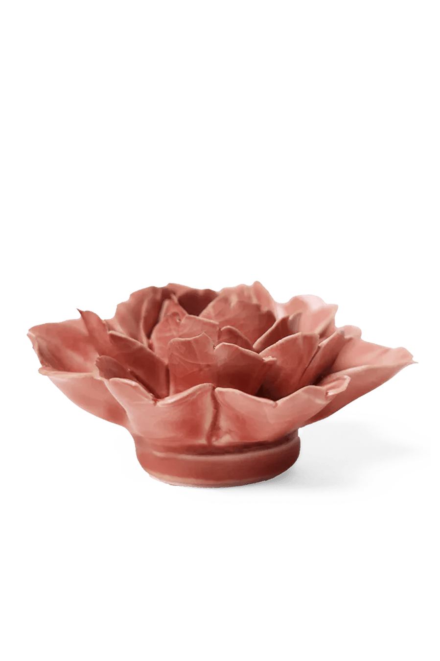 Champagne Pink Rose ceramic wall flower — English Garden collection — designed in Toronto by Chive Studio