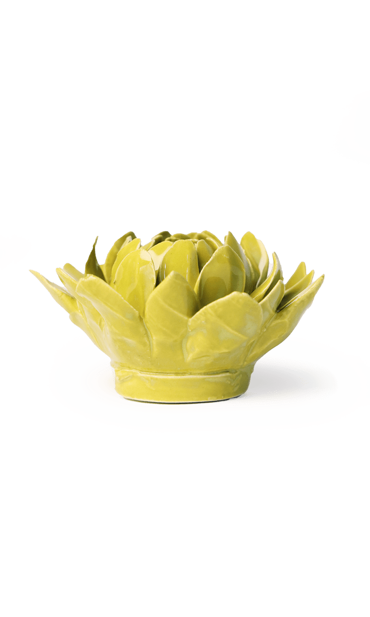 chartreuse Sugarbush Protea ceramic wall flower — English Garden Collection — handmade by Chive Studio Toronto