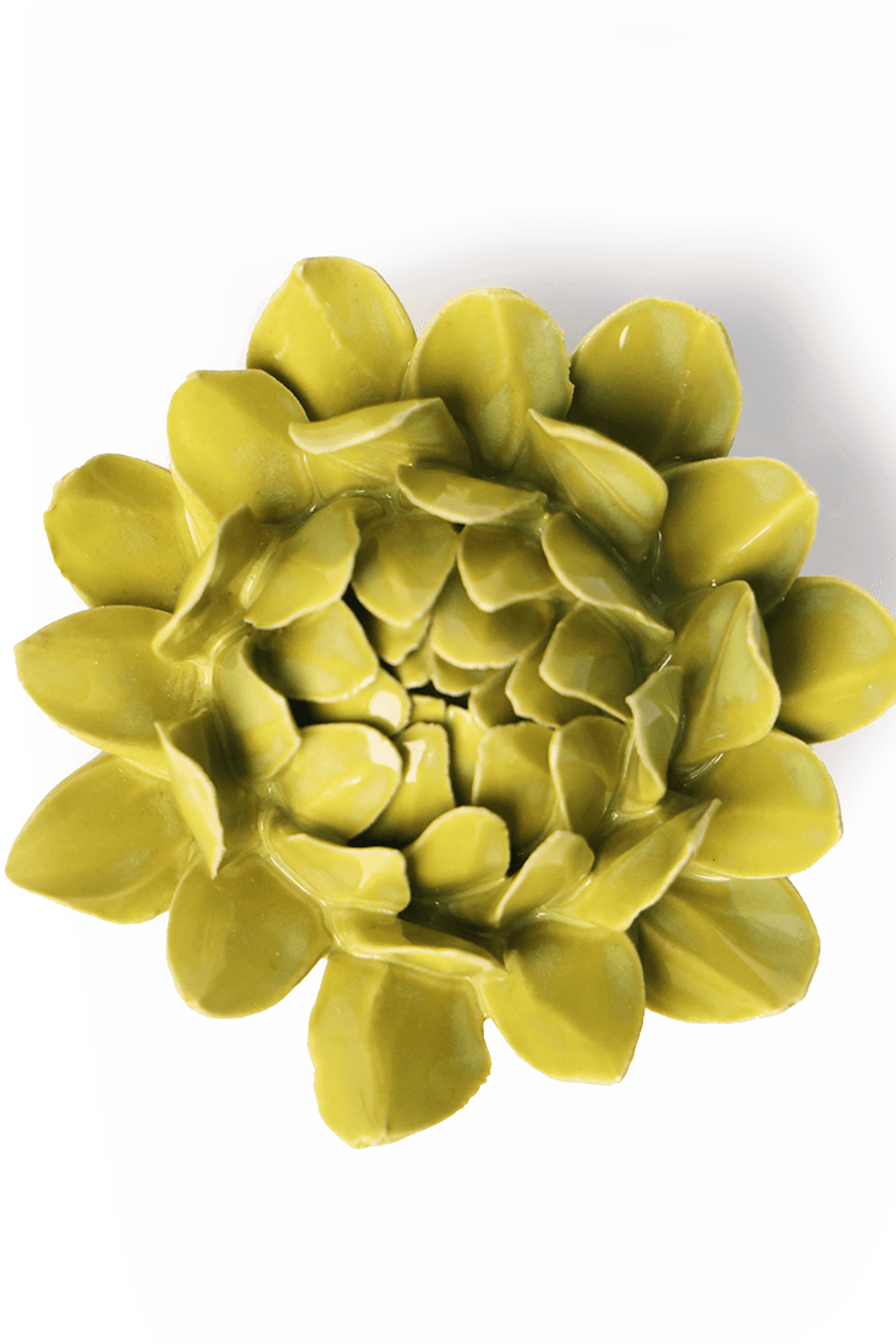 Chartreuse Sugarbush Protea - Chive Ceramics Studio - Ceramic Flowers - Chive Ceramics Studio