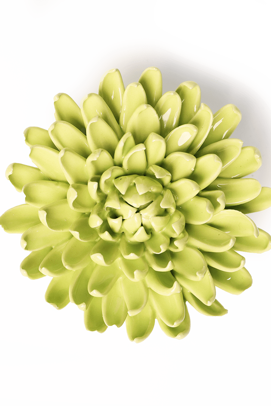 Yellow Green Pompom Mum - Chive Ceramics Studio - Ceramic Flowers - Chive Ceramics Studio